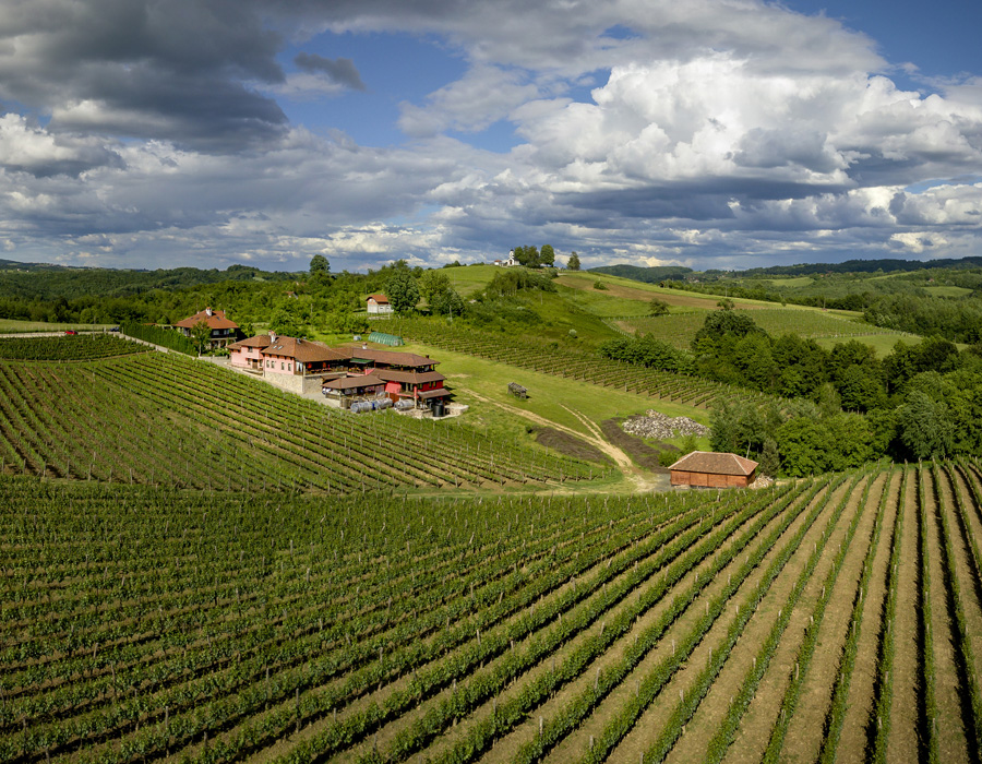 Vinarija Jungić