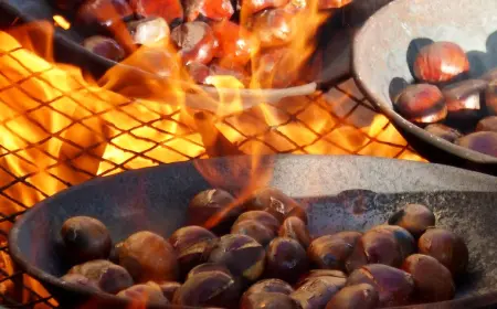 "Kestenijada" u Kostajnici