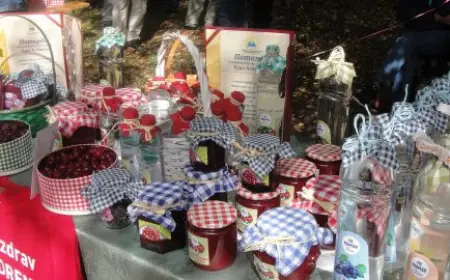 "Dan drvarske drenjine"