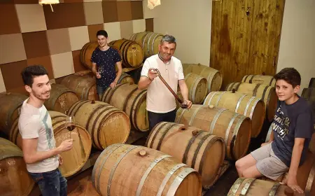 Brkić – Organska filozofija