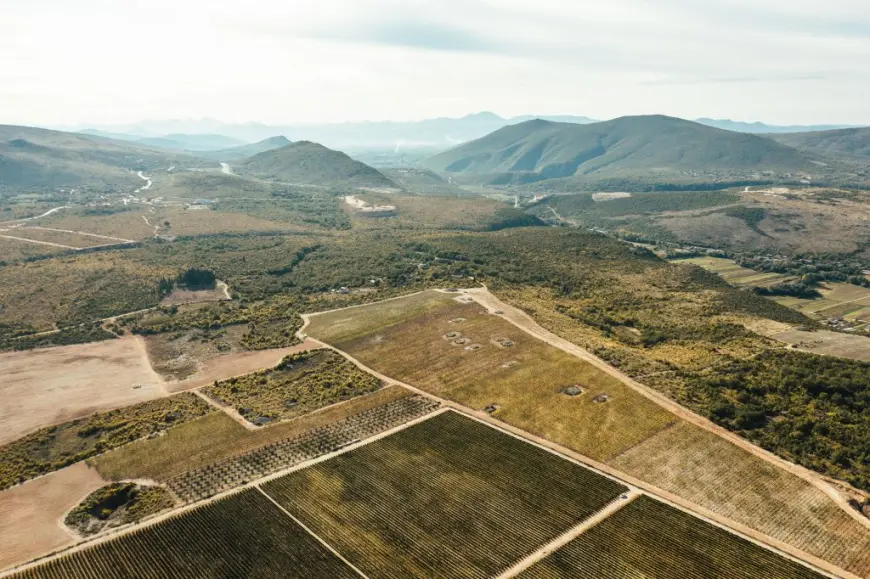 Nuić – Vino s juga, srce iz kamena