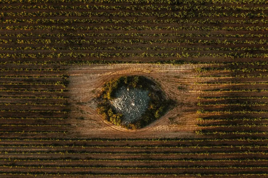 Nuić – Vino s juga, srce iz kamena