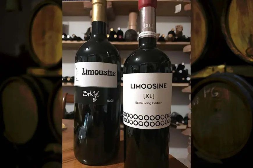 Brkić – Organska filozofija