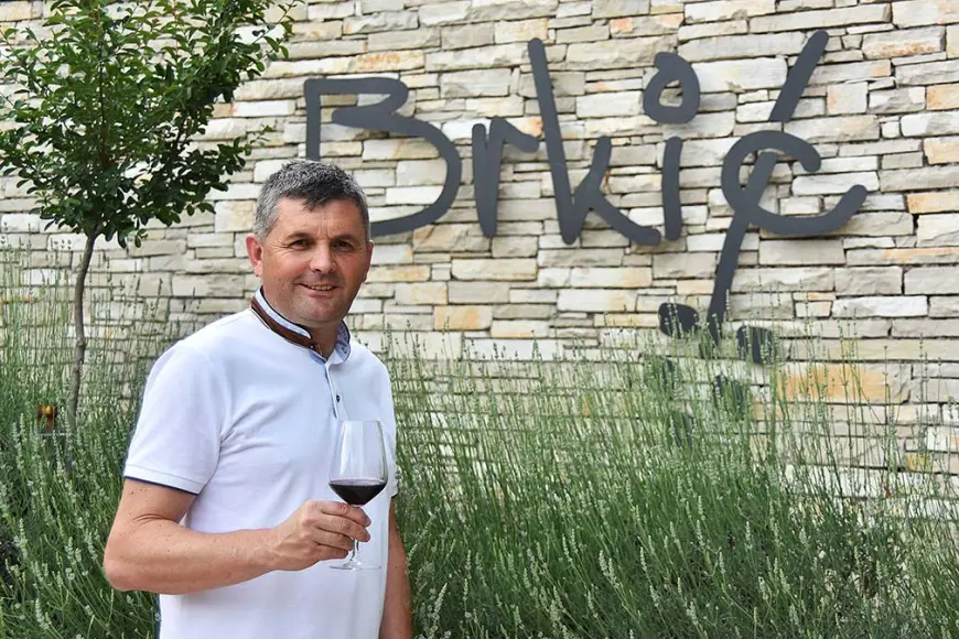 Brkić – Organska filozofija