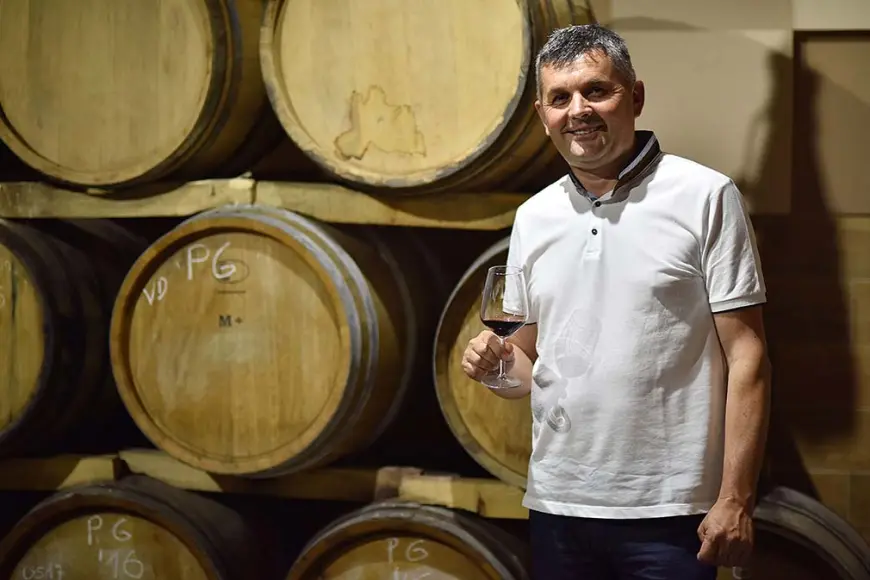 Brkić – Organska filozofija