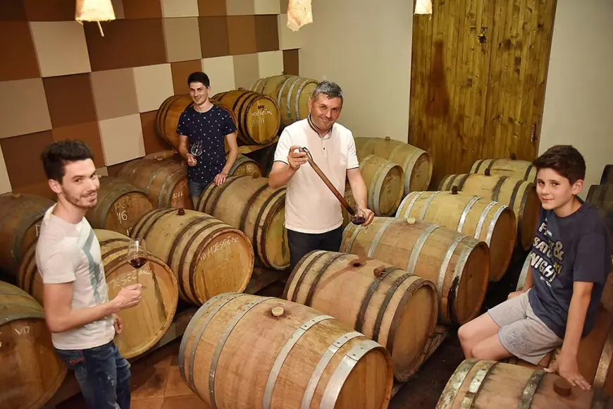 Brkić – Organska filozofija