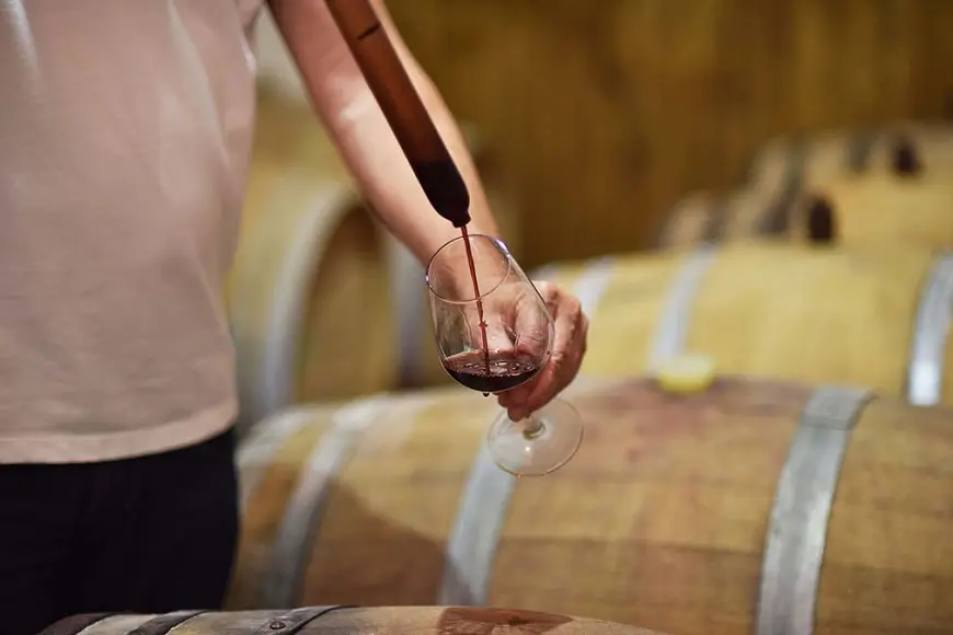 Brkić – Organska filozofija