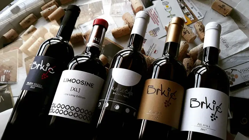 Brkić – Organska filozofija