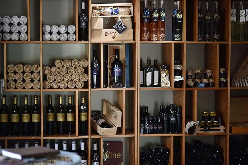 Brkić – Organska filozofija