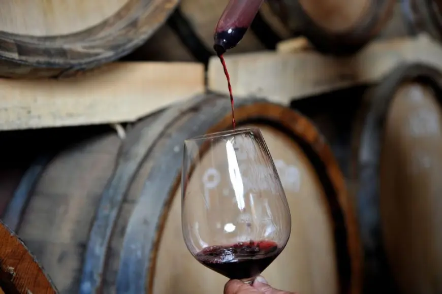 Brkić – Organska filozofija