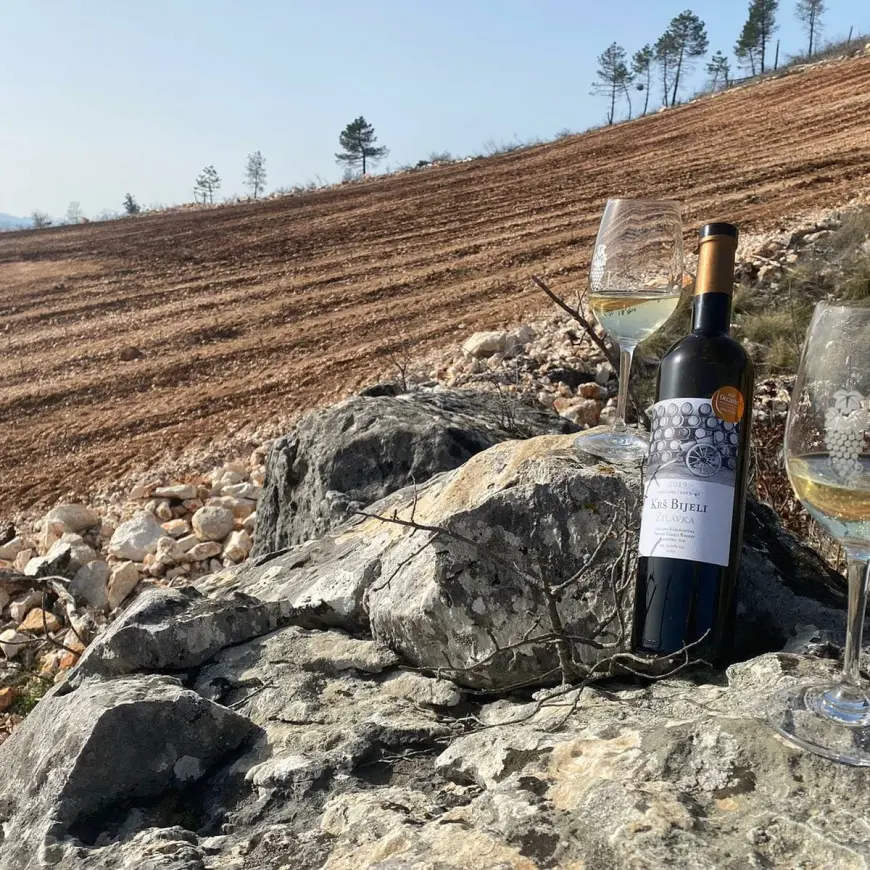 Škegro – Porodična hrabrost