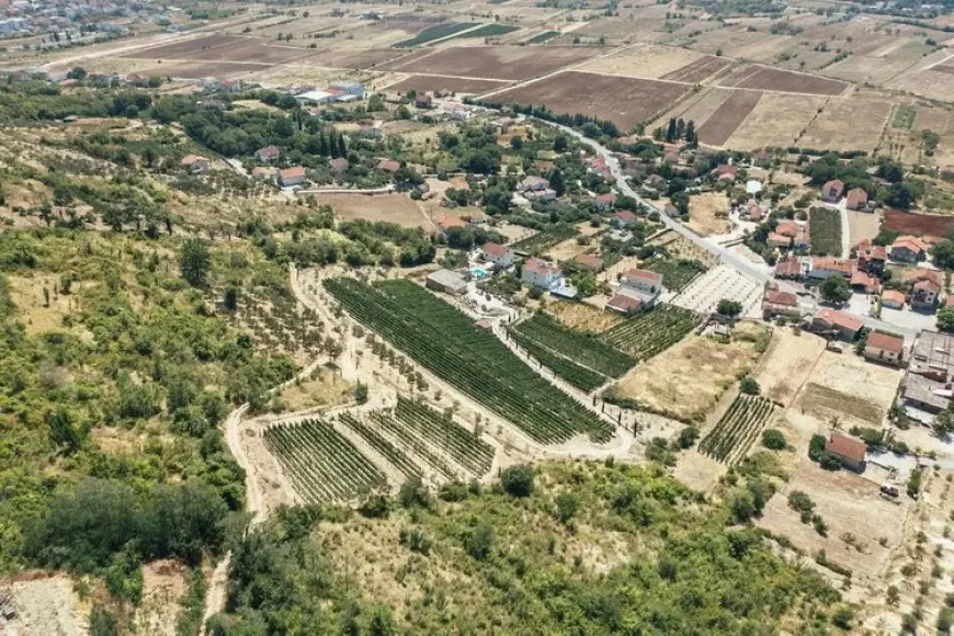 Škegro – Porodična hrabrost