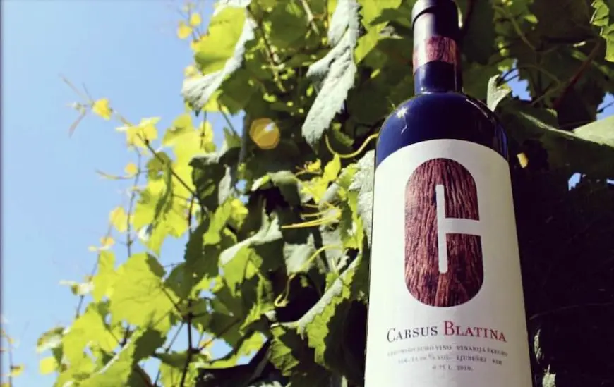 Škegro – Porodična hrabrost