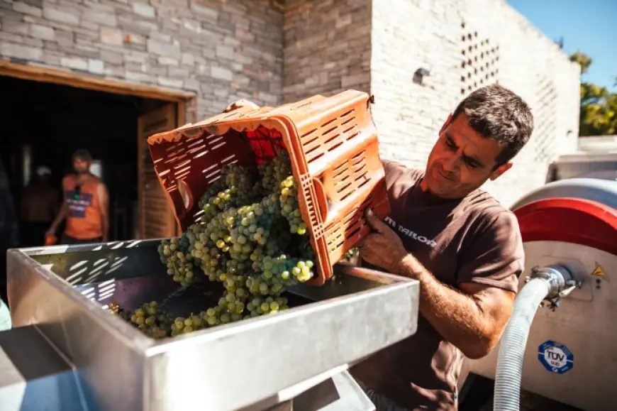 Škegro – Porodična hrabrost