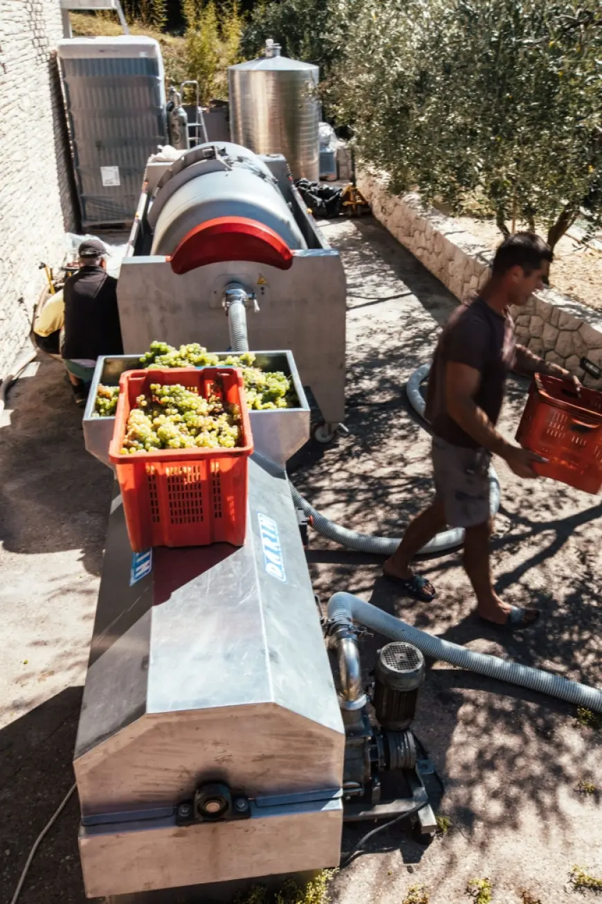 Škegro – Porodična hrabrost