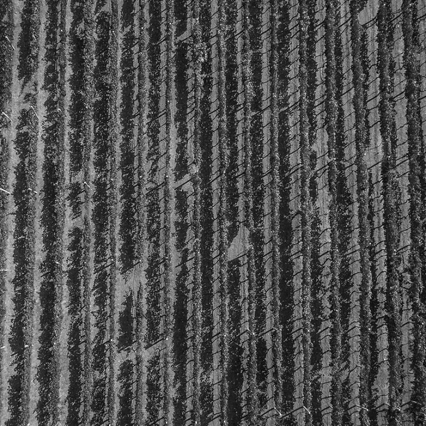 Podrumi Andrija – Legenda priča