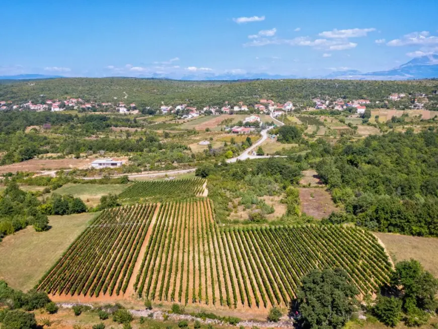 Podrumi Andrija – Legenda priča