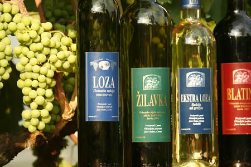 Vinarija Sušac - nezaboravno iskustvo za ljubitelje vina