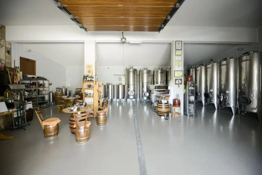 Vinarija Sušac - nezaboravno iskustvo za ljubitelje vina