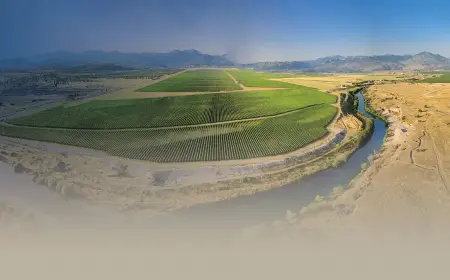 Vinarija Plantaže: Ponos crnogorskog vinarstva i dom legendarnog Vranca (Video)