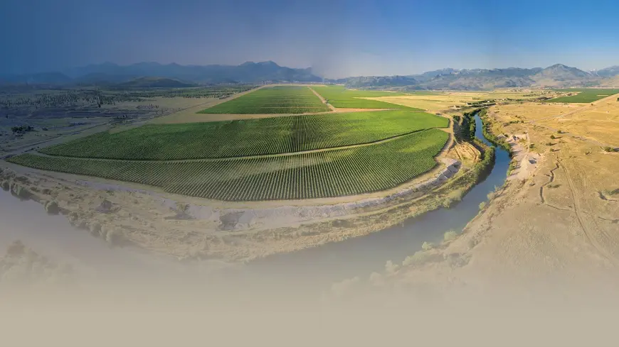Vinarija Plantaže: Ponos crnogorskog vinarstva i dom legendarnog Vranca (Video)